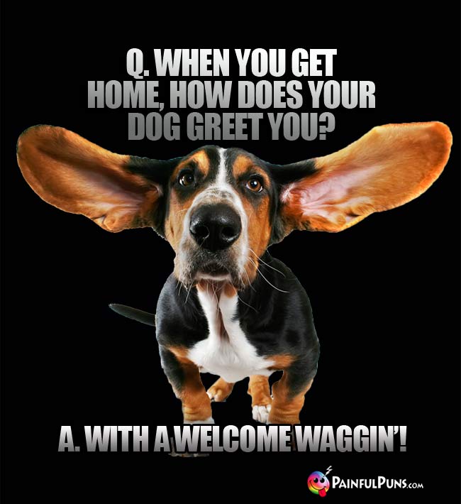 Q. When you get home, how does your dog greet you? A. With a Welcome Waggin'!