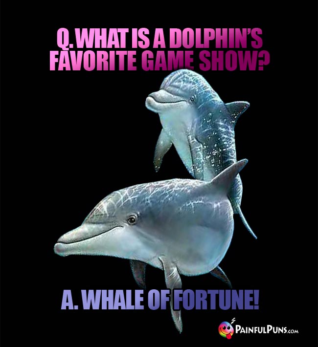 Q. What is a dolphin's favorite game show? A. Whale Of Fortune!
