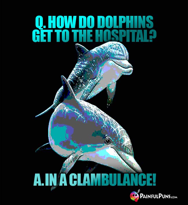 Q. How do dolphins get to the hospital? A. In a clambulance!