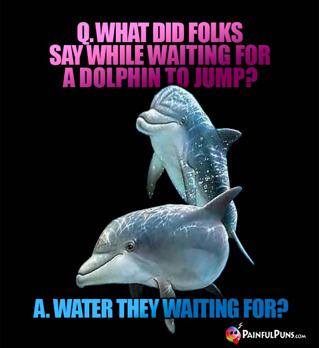 Q. What did folks say while waitig for a dophin to jump? A. Water they waiting for?