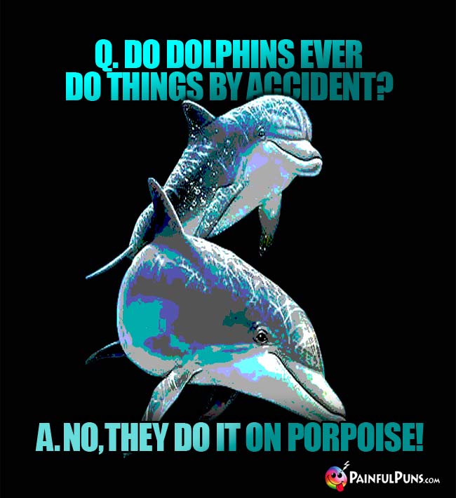 Q. Do dolphins ever do things by accident? A. No, they do it on porpoise!