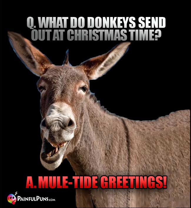Q. What do donkeys send out at Christmas time? a.Mule-tide greetings!