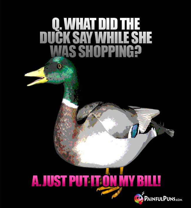 Q. What did the duck say while she was shopping? A. Just put it on my bill! 