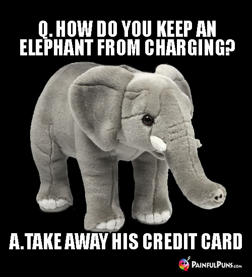Q. How do you keep an elephant from charging? A. Take away his credit card.