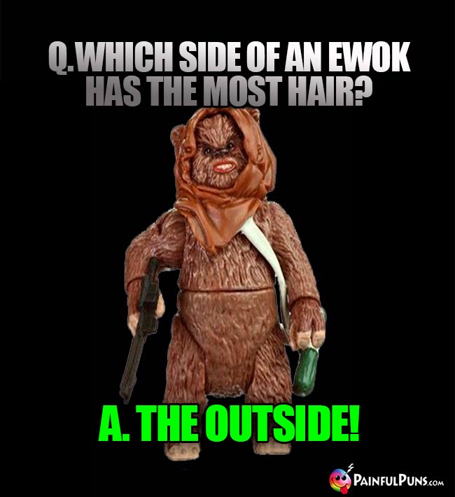 Q. Which side of an Ewok has teh most hair? A. The Outside!