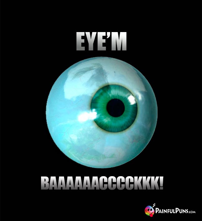 Eye Humor: Eye'm Baaaaaaacccckkk!
