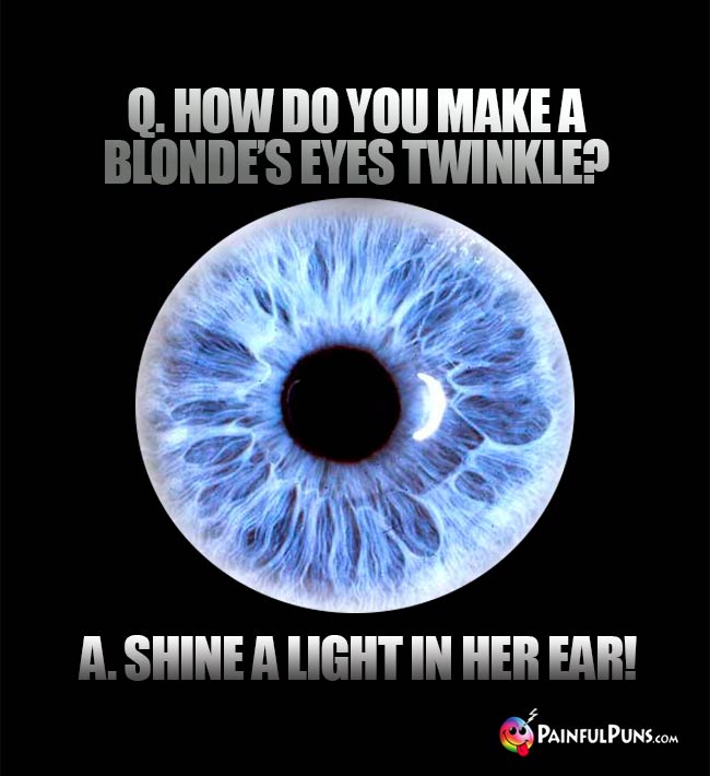 Q. How do you make a blonde's eyes twinkle? A. Shine a light in her ear!