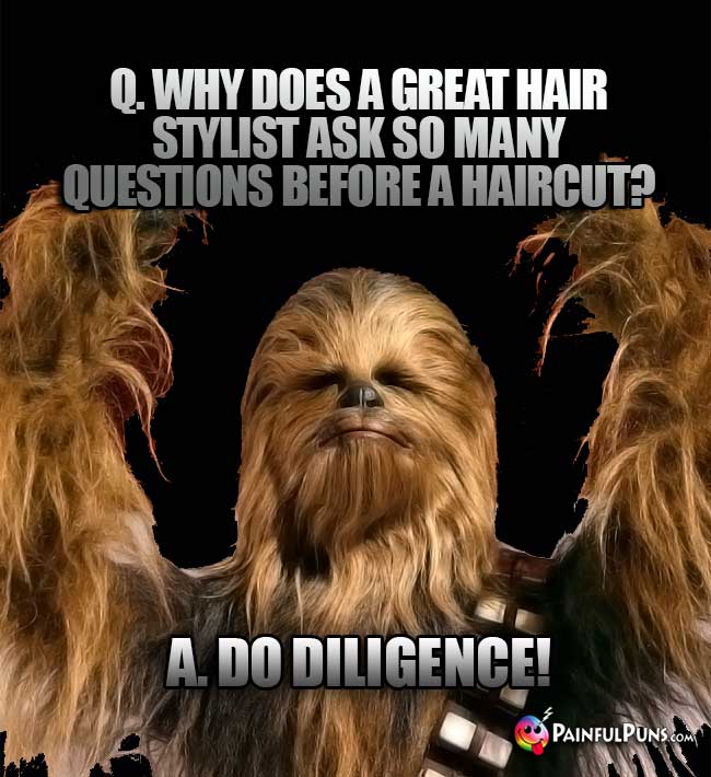 Q. Why does a great hair stylist ask so many question before a haircut?