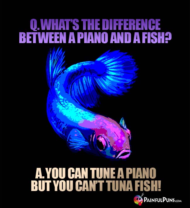 Q. What's the difference between a piano and a fish? A. You can tune a piano, but you can't tuna fish!