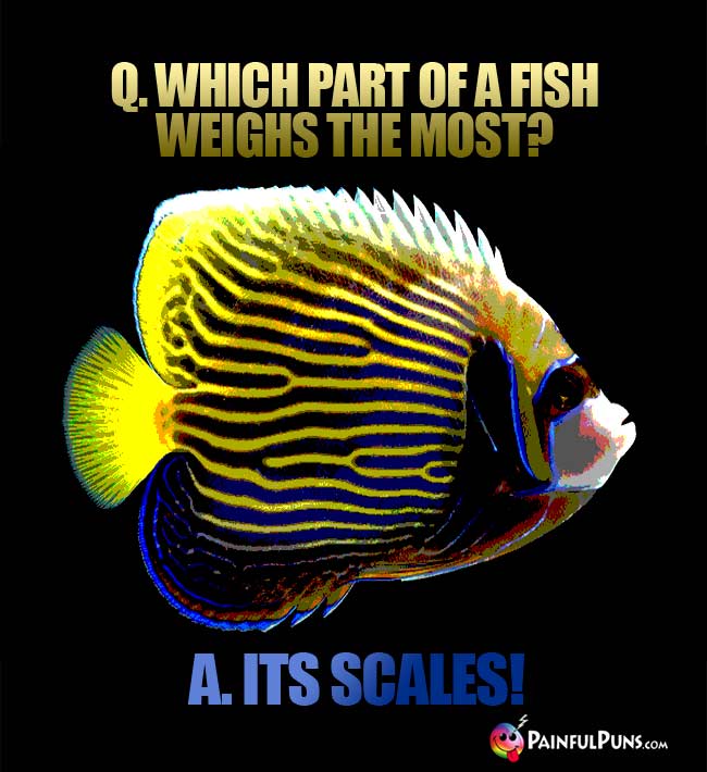 Q. Which part of a fish weighs the most? a. its scales!