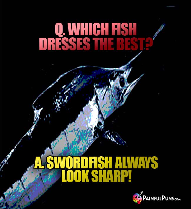q. Which fish dresses the best? a. Swordfish always look sharp!