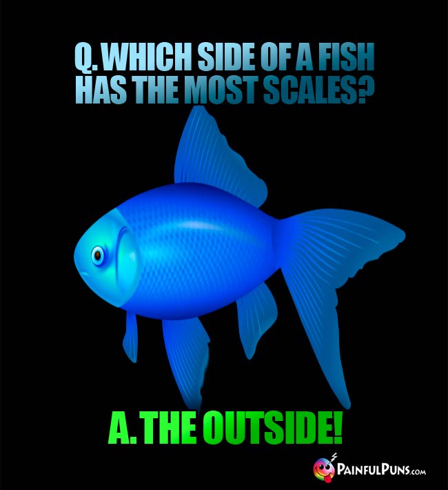 q. Which side of a fish has the most scales? A. The outside!