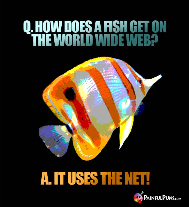 Q. How does a fish get on the world wide web? A. It uses the Net!