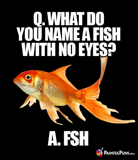 Q. What do you name a fish with no eyes? A. FSH
