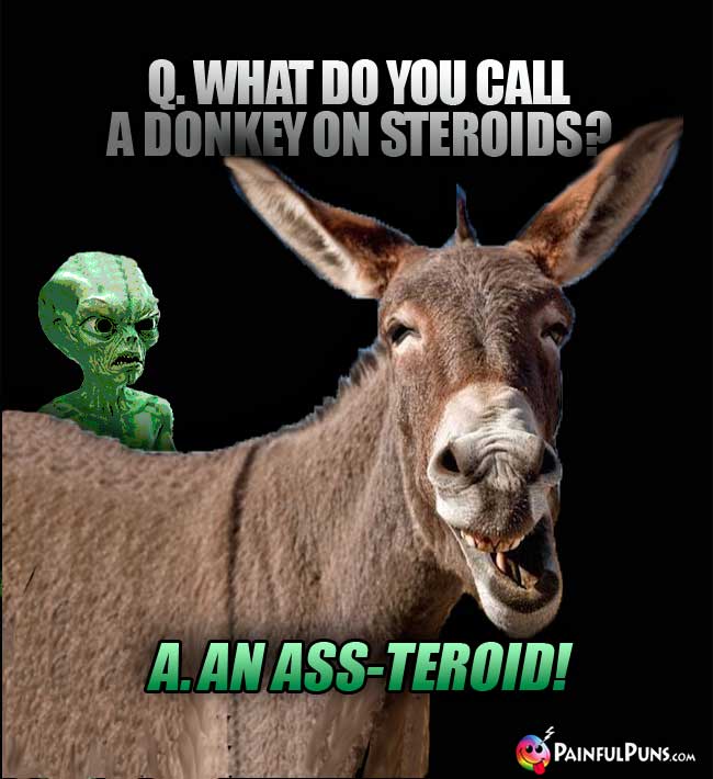 Q. What do you call a donkey on steroids? A. An ass-teroid!