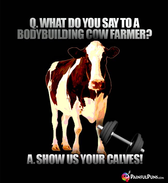 Q. What do you say to a bodybuilding cow farmer? A. Show us your calves!