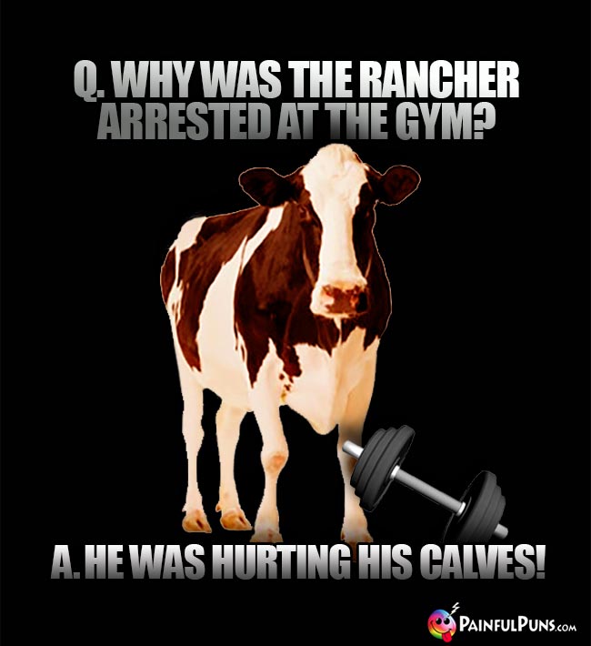 Q. Why was teh rancher arrested at the gym? A. He was hurting his calves!