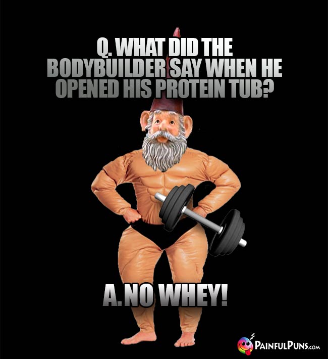 Q. What did the bodybuilder say when he opened his protein tub? A. No whey!