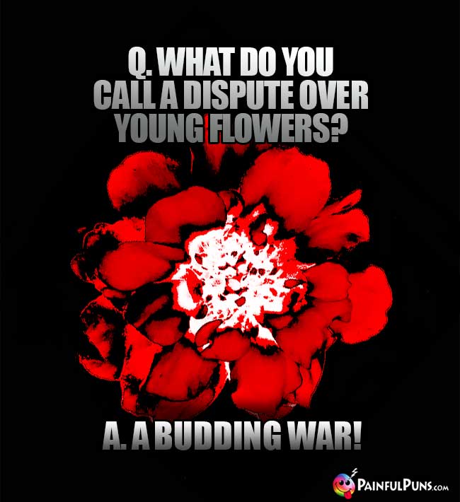 Q. What do you call a dispute over young flowers? A. A budding war!