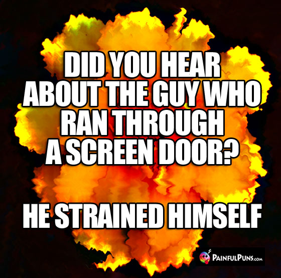 Did you hear about the guy who ran through a screen door? He strained himself