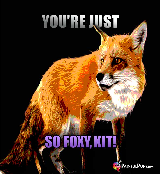 Fox Says: You're Just So Foxy, Kit!