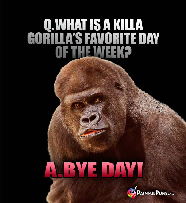 Q. What is a killa gorilla's favorite day of the week? A. Bye Day!