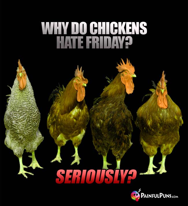 Why do chickens hate Friday? Seriously?