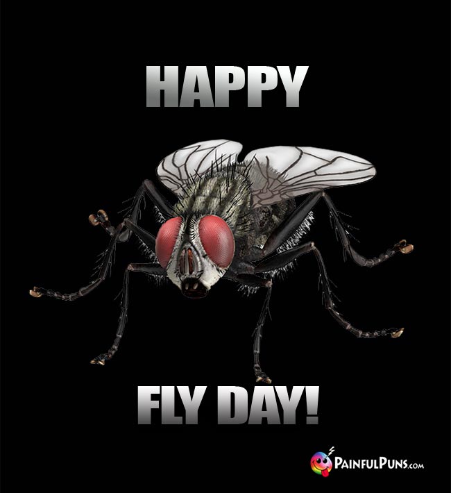 Housefly with red eyes says: Happy Fly Day!
