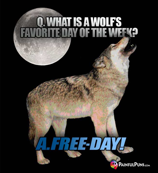 Q. What is a wolf's favorite day of the week? A. Free-Day!