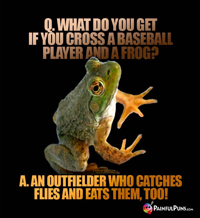 Q. What do you get if you cross a baseball player and a frog? A. An outfielder who catches flies and eats them, too!