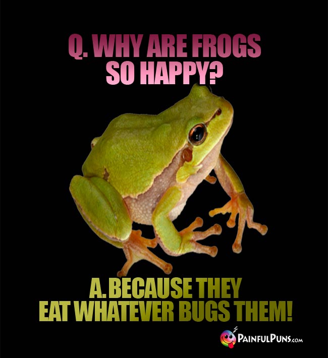 Q. Why are frogs so happy? A. because they eat whatever bugs them!