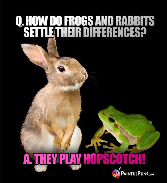 Q. How do frogs and rabbits settle their differences? A. They play hopscotch!