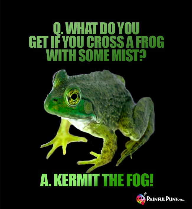 Q. What do you get if you cross a frog with some mist? A. Krmit The Fog!