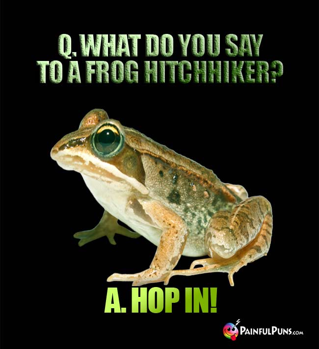 Q. What do you say to a frog hitchhiker? A. Hop In!