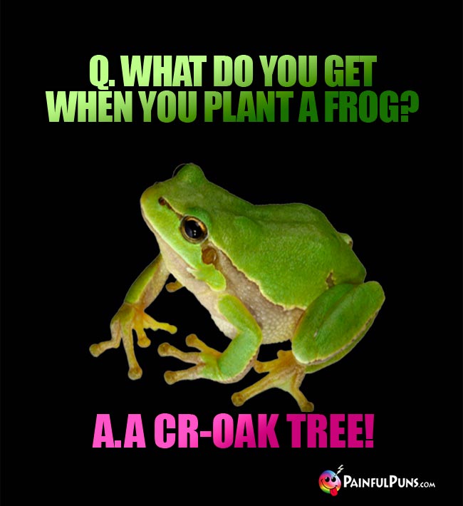 Q. What do you get when you plant a frog? A. A Cr-Oak Tree!