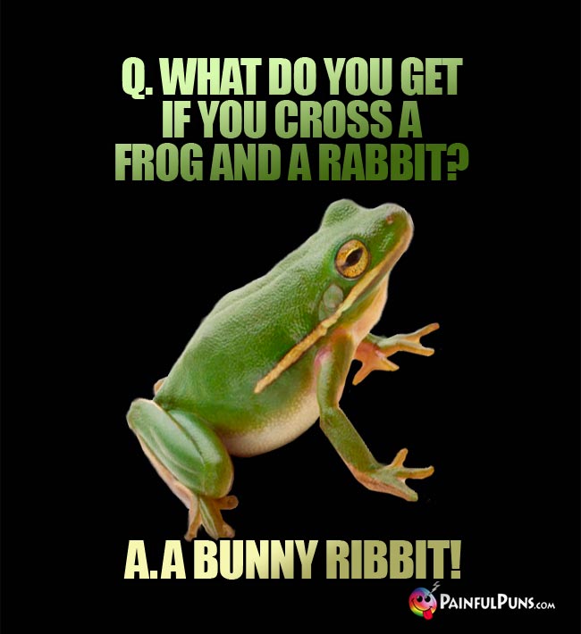 Q. What do you get if you cross a frog and a rabbit? a. A Bunny Ribbit!