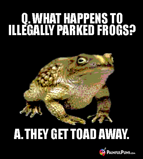 Punny Riddle: Q. What happens to illegally parked frogs? A. They get toad away.