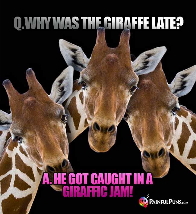 q. why was the giraffe late? A. He got caught in a Giraffic Jam!