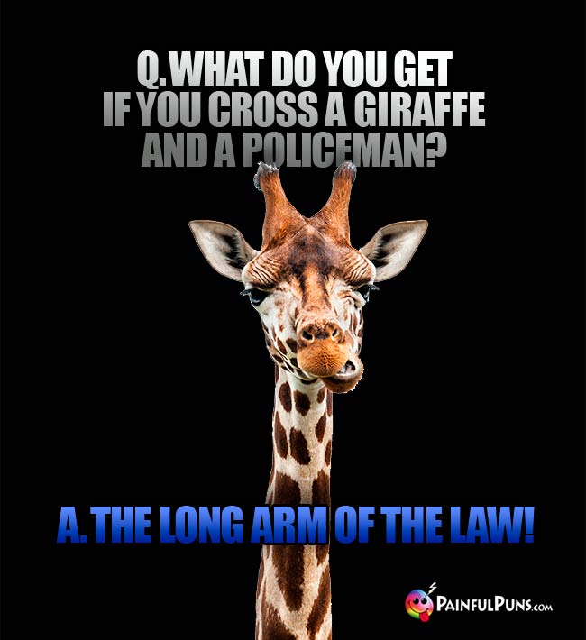 Q. What do you get if you cross a giraffe and a policeman? a. The Long arm Of The Law!