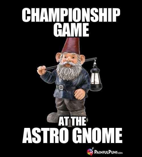 Championship Game at the Astro Gnome
