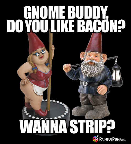 Gnome Buddy, do you like bacon? Wanna strip?
