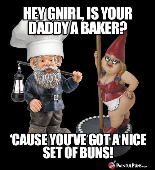 Hey Gnirl, is your daddy a baker? 'Cause you've got a nice set of buns!