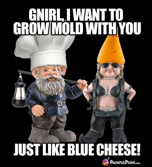 Cheesy Pick-Up Line: Gnirl, I want to grow mold with you, just like blue cheese!