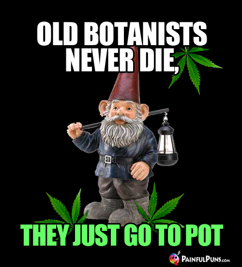 Gnome Meme: Old Botanists Never Die, They Just Go to Pot