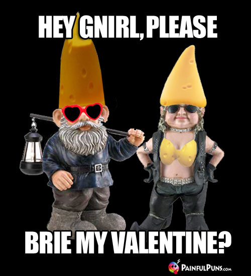 Cheesy Pick-Up Line: Hey Gnirl, please brie my Valentine?
