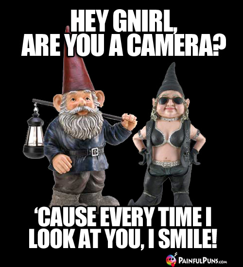 Hey Gnirl, are you a camera? 'Cause every time I look at you, I smile!