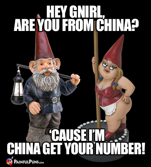 Hey Gnirl, are you from China? 'Cause I'm China get your number!