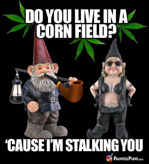 Gnomes with Pot Leaves: Do You Live in a Corn Field? 'Cause I'm Stalking You