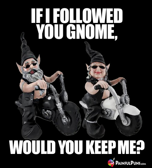 If I followed you gnome, would you keep me?