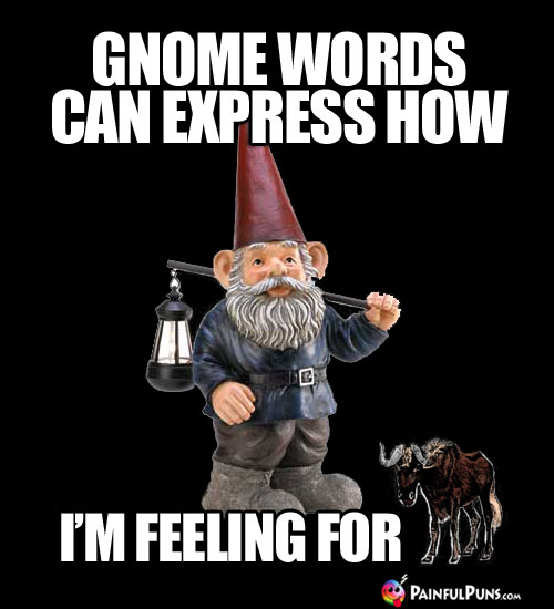 Gnome Words Can Express How I'm Feeling for (Gnu)